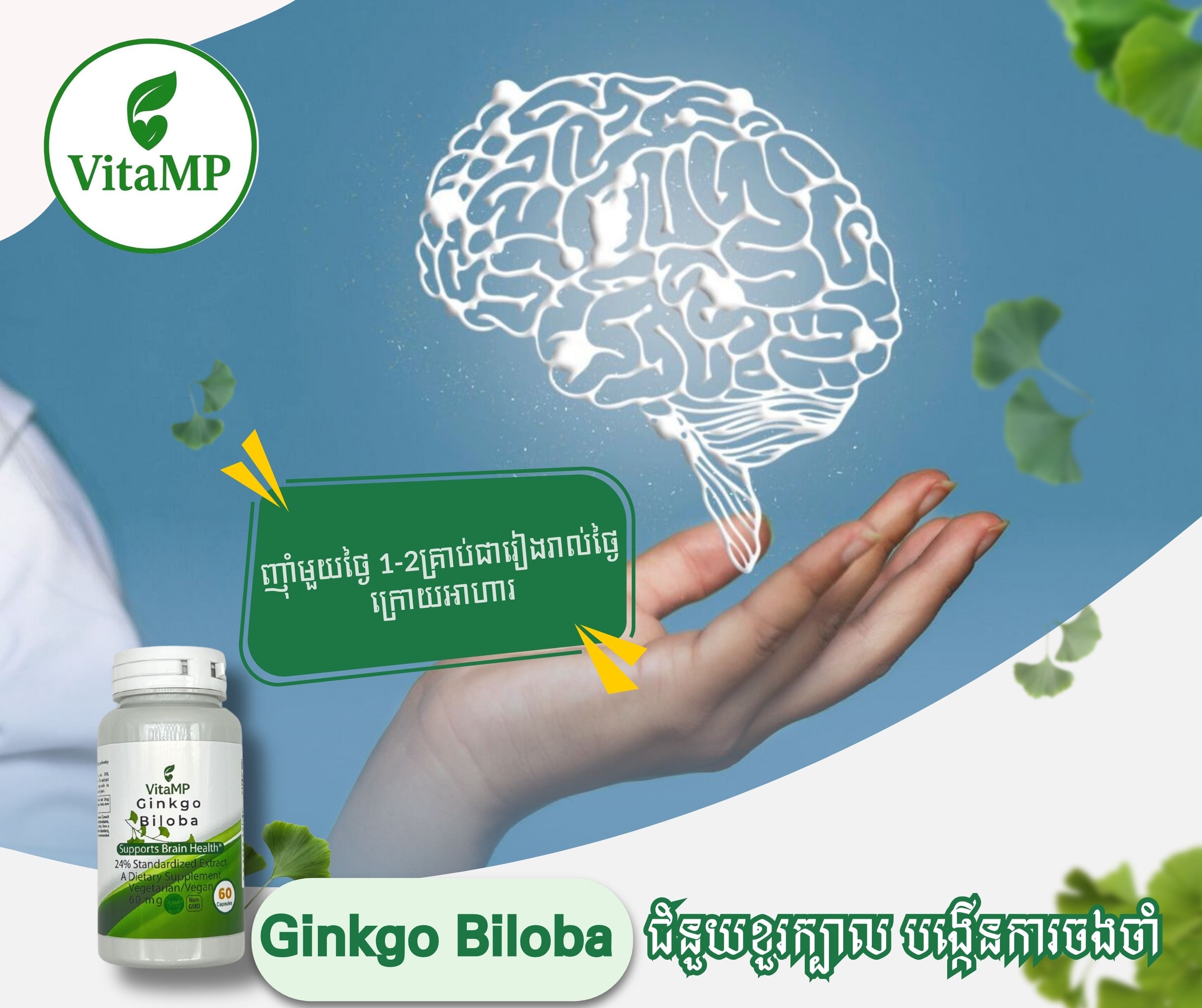 VitaMP Ginkgo Biloba
