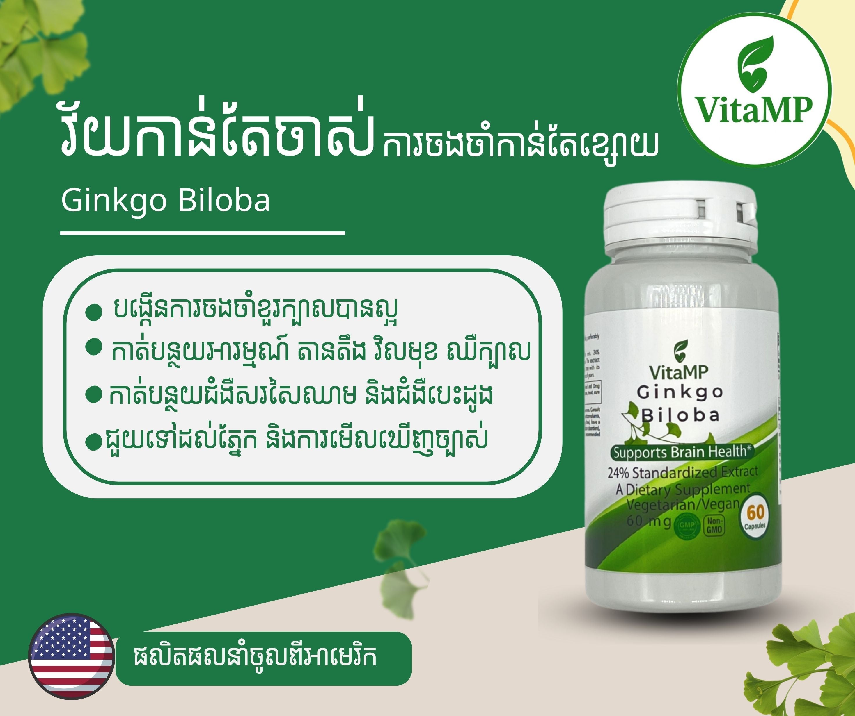 VitaMP Ginkgo Biloba
