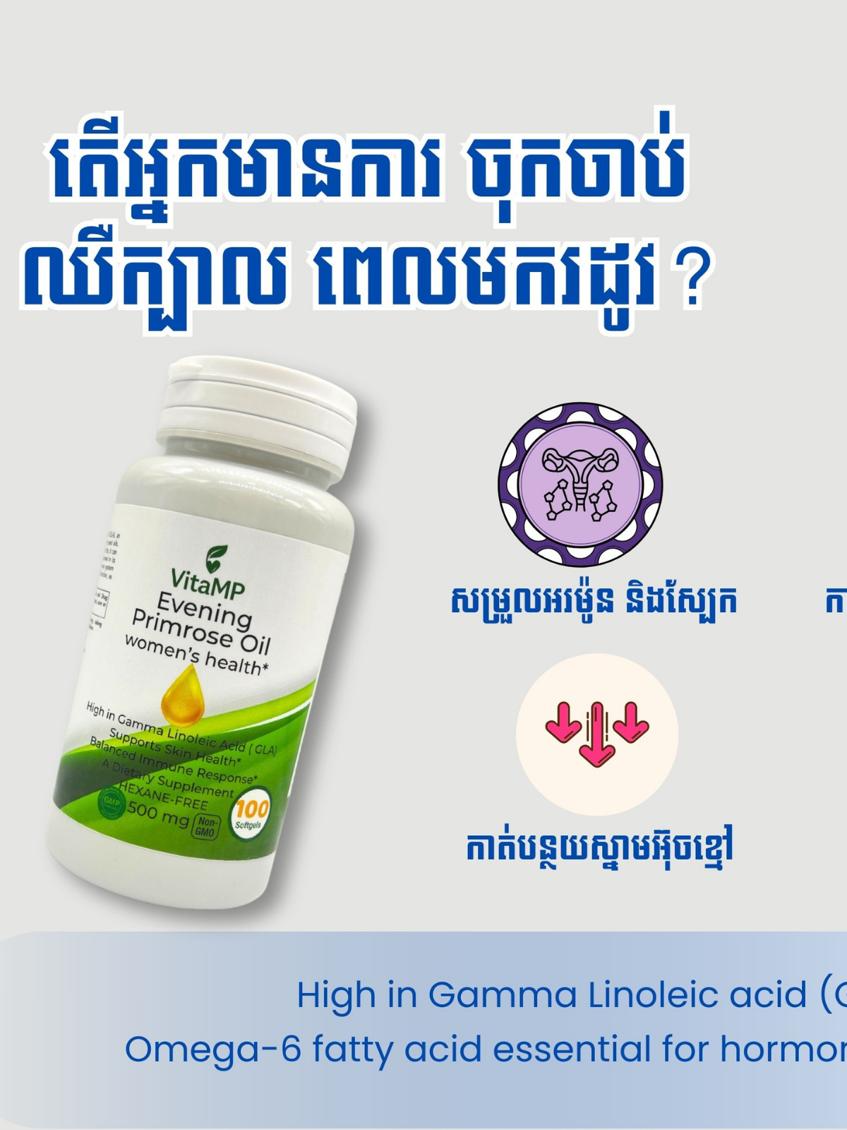 VitaMP Evening Primrose Oil Women's Health